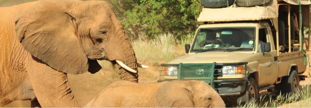 Wüstenelefanten-Tracking