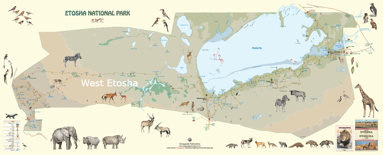 Etosha National Park Karte C) Honeyguide Publications 