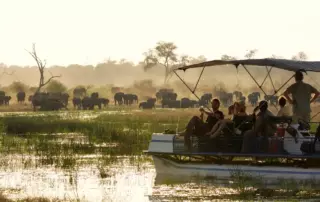 Elefanten in Namibias "Caprivi Streifen"