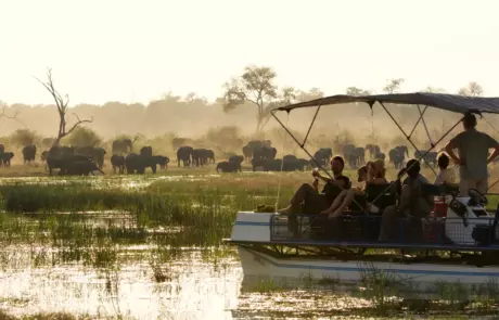Elefanten in Namibias "Caprivi Streifen"