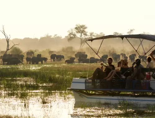 Namibia Fluss-Safari – Geführte Safari im „Caprivi Streifen“