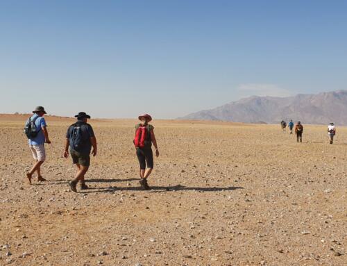 Wandern in Namibia – Damaraland Camino
