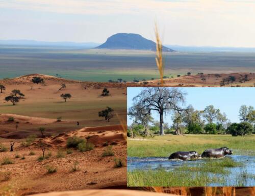 Namibia Reise Wüste & Wasser: Zentrale Highlights & Caprivi in 3 Wochen