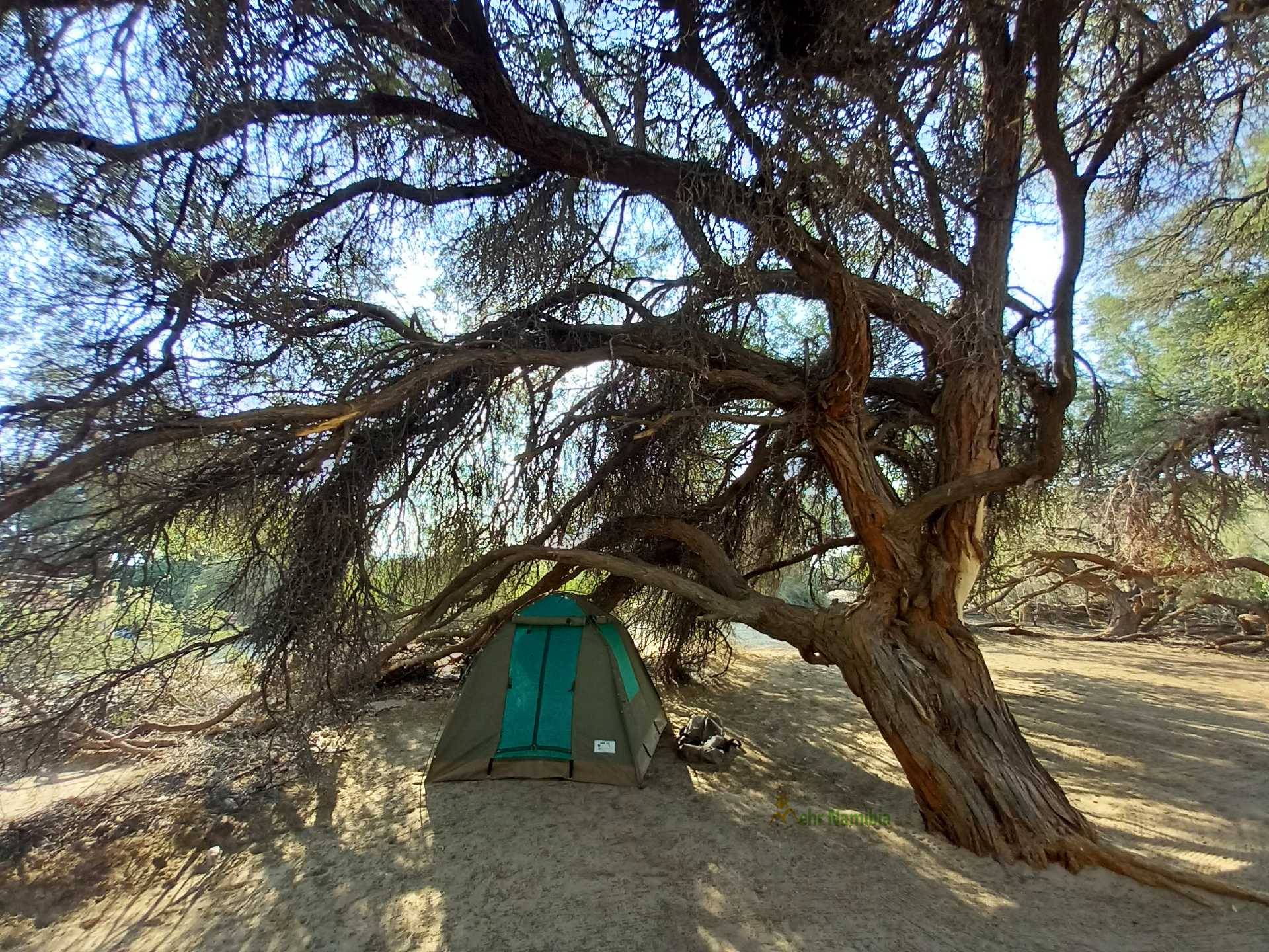 Wildes Namibia unter den Sternen - Zelt unter Baum
