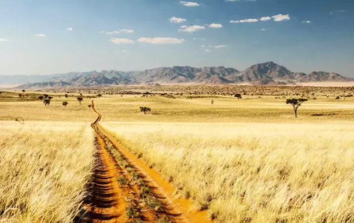 In Namibia Mehr erleben