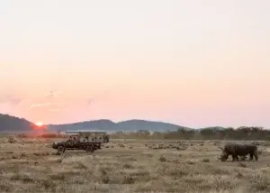 Pirschfahrt auf Ongava