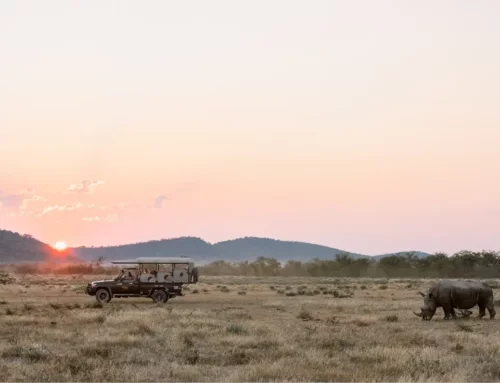 Abenteuer Namibia Exklusiv – mit Mobiler Safari in kleiner Gruppe (15 Tage)