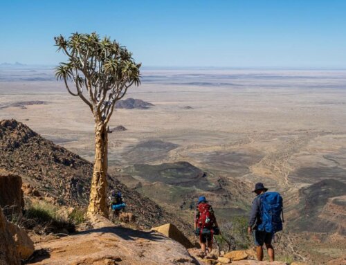 Wandern Namibia: Erlebnis Brandberg mit Guide (3 Tage)
