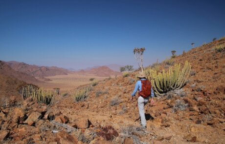 Wandern im NamibRand Nature Reserve