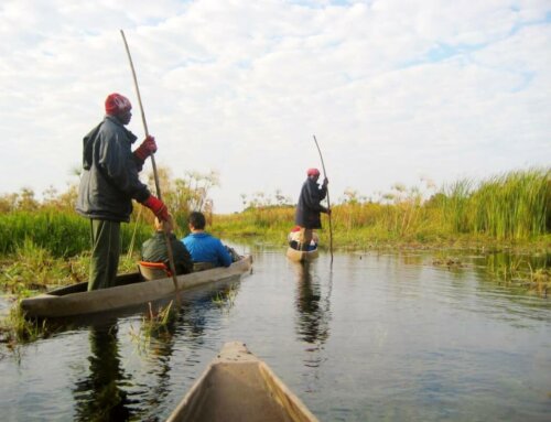 Mokoro Ausflug – pure Magie der Wildnis Afrikas (Namibia oder Botswana)