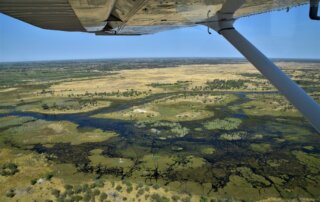 Flug ins Okavango Delta