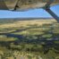 Flug ins Okavango Delta