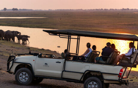 Pirschfahrt am Chobe Fluss