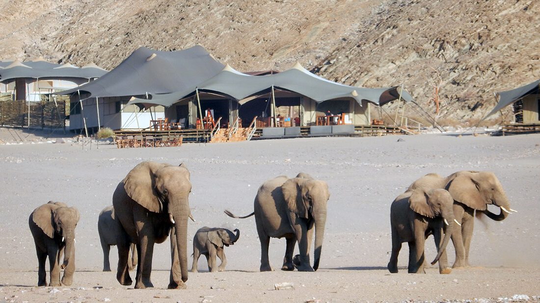 Exklusive Lodge mit Wüstenelefanten im Kaokoveld