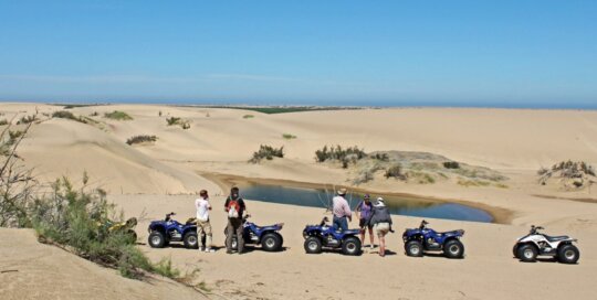 Quad Bikes im Wüstensand bei einer Quelle