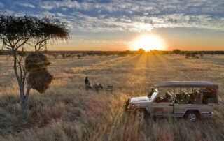 Private Safari Pirschfahrt