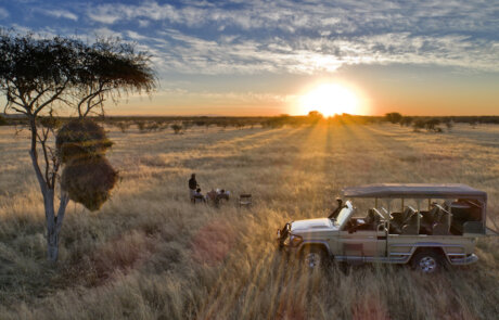Private Safari Pirschfahrt