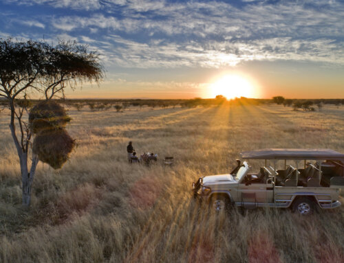 Namibia Kleingruppenreise (2-8) mit Mobiler Kaokoveld-Safari (16 Tage, deutsch)
