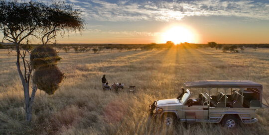 Private Safari Pirschfahrt