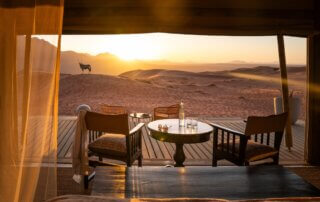 Blick in die Schönheit der Wüstenlandschaft vom Zimmer aus