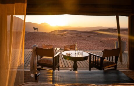 Blick in die Schönheit der Wüstenlandschaft vom Zimmer aus