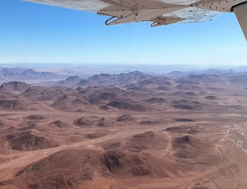 Skelettküstensafari: Die exklusive 4-Tage Flug-Safari [2026]