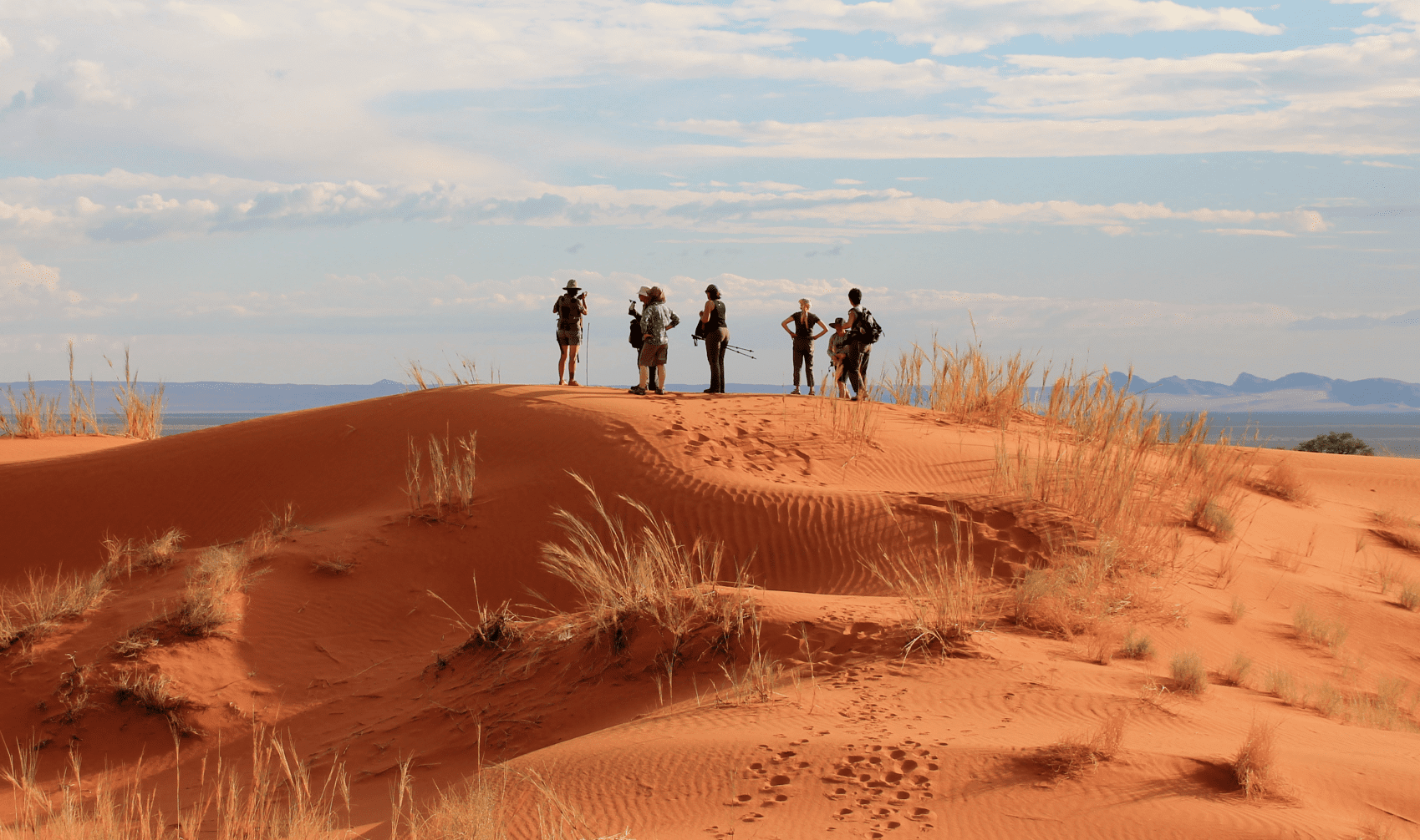 Teilnehmer einer Gruppenreise auf einer Düne in Namibia
