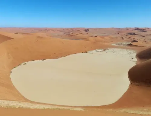 Sossusvlei 2026: Selbstfahrer erlaubt – Shuttle optional [02.05.2026]