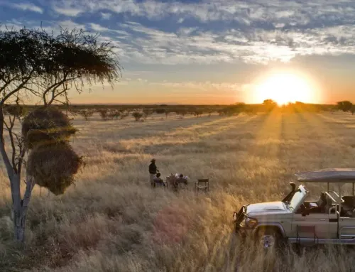 Namibia Kleingruppenreise (2-8): Rundreise zu den Highlights und ins Kaokoveld (16 Tage, deutsch)